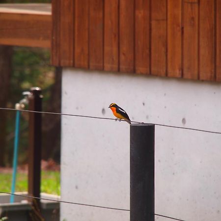 Koya Backpackers Hotel Karuizawa Exterior photo